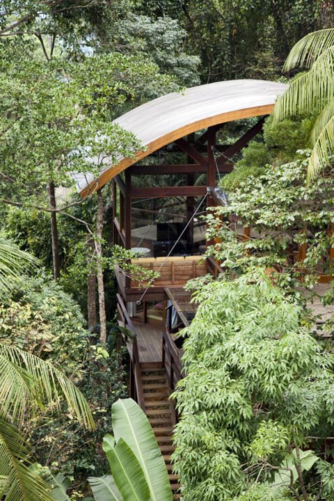 treehouse-design-praia