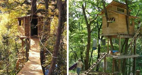 treehouse-design-people