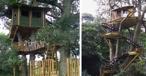 treehouse-design-people