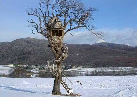 treehouse-design-people