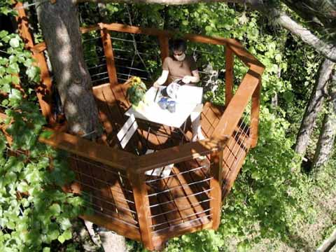 treehouse-terrace-sophie