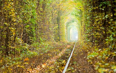 tunnel of love ukraine 3 - The Tunnel of Love: A place lost in time