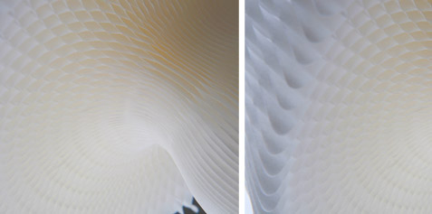 unique-paper-lamp-honeycomb