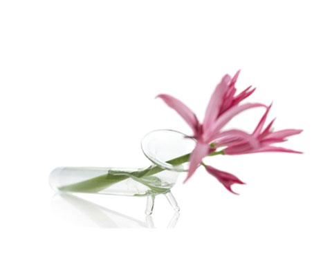 vase-collection-chive-4