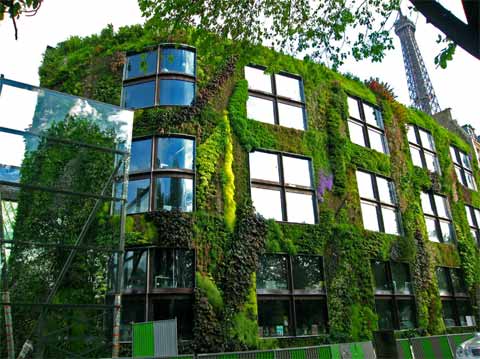 vertical-gardens-2