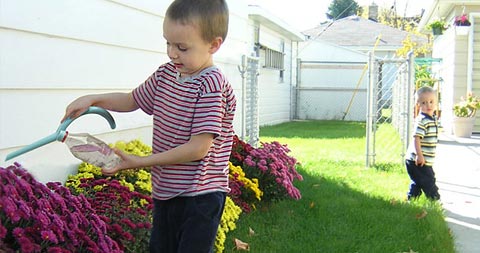 watering-can-twist