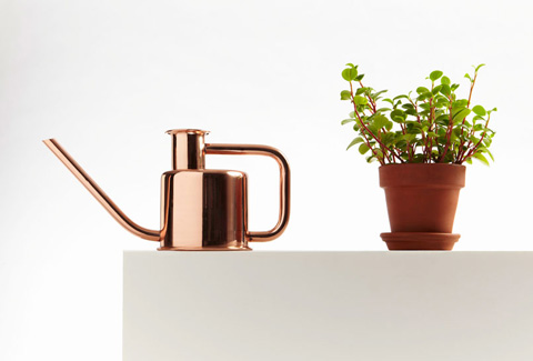 watering-can-x38